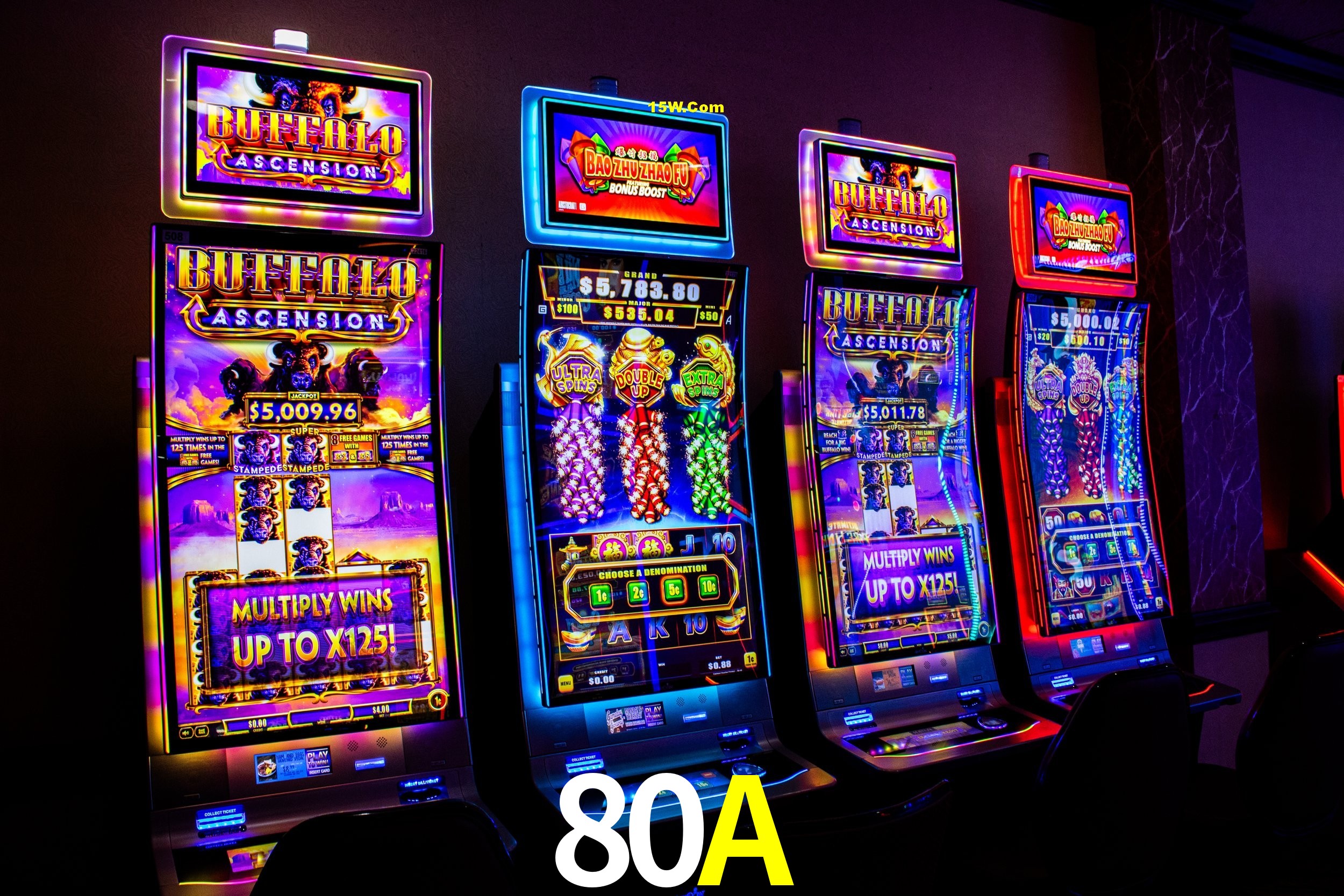 Bonus Features 80A